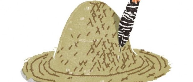 L'Oiseau du Bon Dieu, James McBride, Gallmeister