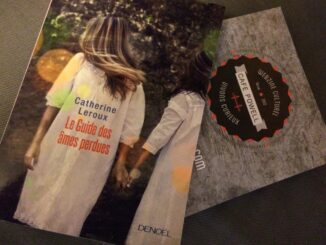 Le Guide des âmes perdues, Catherine Leroux, éditions Denoël