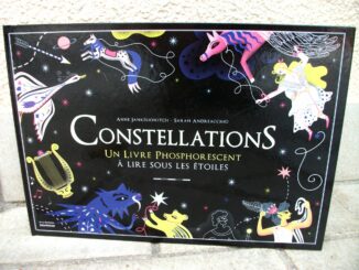 Constellations, Anne Jankiélowitch, Sarah Andreaccio, De La Martinière Jeunesse